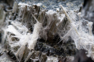 chrysotile asbestos fibers