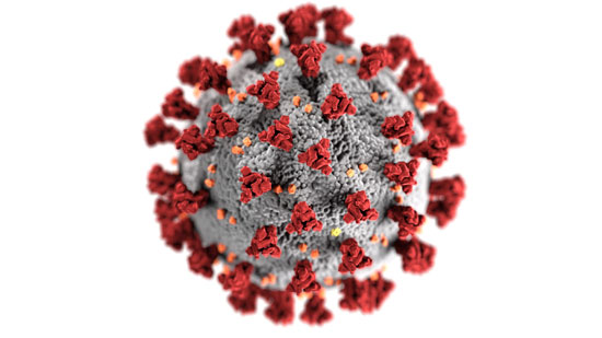 image of COVID-19 virus molecule under the microscope